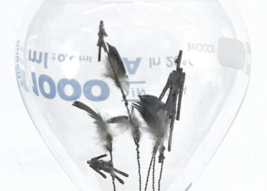 PIUMA CIMICE N° 2 (Amanti sommersi)_2015 Dettaglio